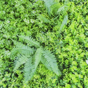 Градинарски украс Вештачки растенија Хеџ шимширен панел Ѕид од вештачка трева за вертикален декор во градината