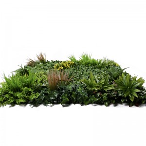 Phông nền thực vật ngoài trời Tấm thảm xanh Hàng rào Tường cỏ nhân tạo bằng gỗ hoàng dương cho khu vườn thẳng đứng