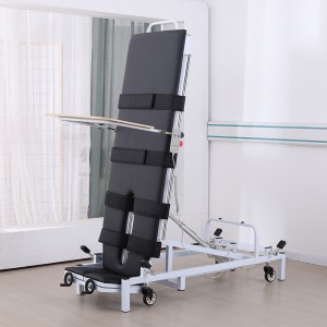 Rehabilitation Hospital Electric Standing Bed TYPE C