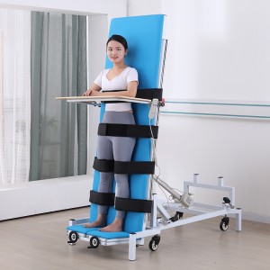Rehabilitation Hospital Electric Standing Bed TYPE D