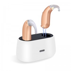 2019 Latest Design Factory Price Digital Mini Rechargeable Hearing Aid with Portable Charging Case Ear Hearing Aid with Bluetooth Connect