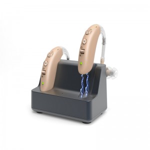 Leading Manufacturer for Bte Sound Amplifier Machine Buy Cheap Price Deaf Ear Rechargeable Hearing Aid for Deafness