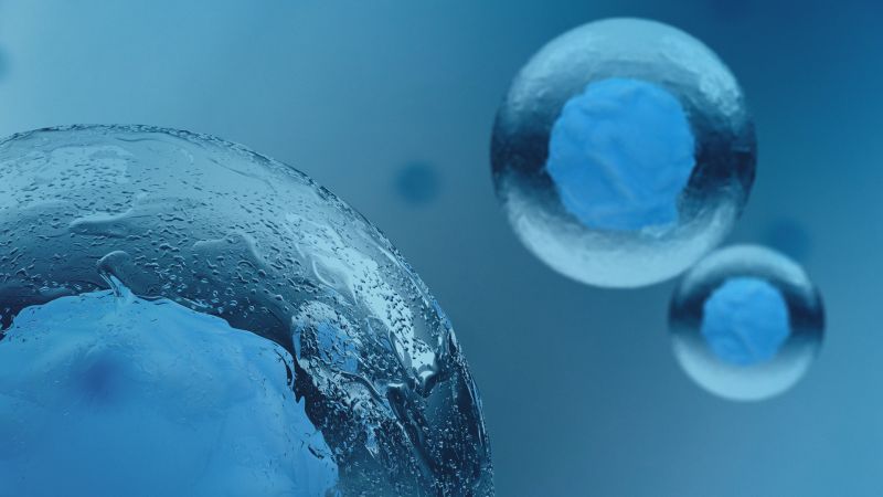Advantages of Using Site-Specific Integration Technology in Cell Line Development