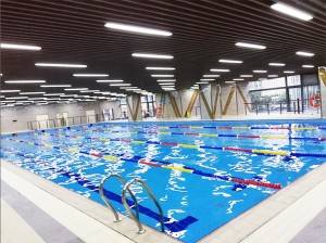 heated indoor competition swimming pool water treatment equipment project