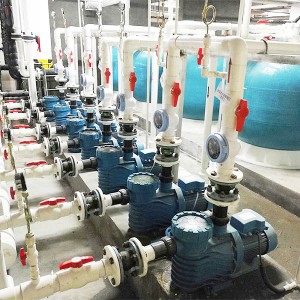 swimming pool filtration system