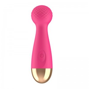 body massager powerful 10-mode vibration for couple AS031