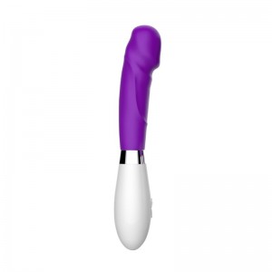 Upgraded Personal vibrator – Premium with 10 Patterns – Cordless Powerful and Handheld – USB Rechargeable for women couple-VV305
