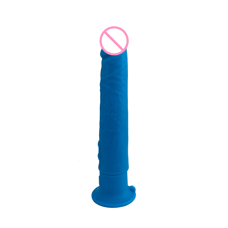 Factory directly 10 Inch Dildo - VS003A – Western