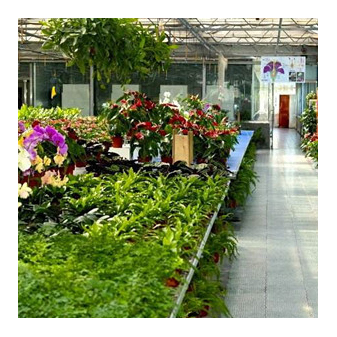 China Wholesale Greenhouse Accessories Suppliers - Smart Glass Multi-Span Greenhouse ltblws03 – Lantian