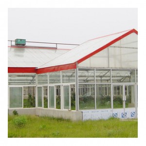 Smart Glass Multi-Span Greenhouse ltblws07