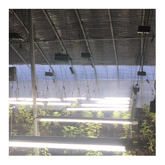 China Wholesale New Greenhouse Pricelist - Warm-keeping Greenhouse ltbwws01 – Lantian