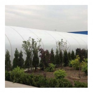 China Wholesale Insulation Greenhouse Suppliers - Warm-keeping Greenhouse ltbwws02 – Lantian