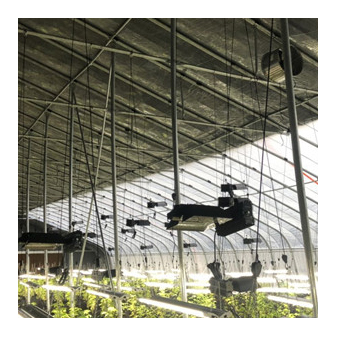 China Wholesale Greenhouse Profiles Manufacturers - Warm-keeping Greenhouse ltbwws03 – Lantian