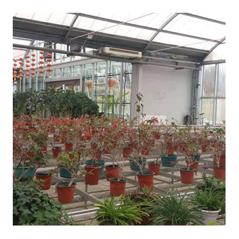 China Wholesale Mariguana-Growing Greenhouse Quotes - Smart Film Multi-Span Greenhouse ltmws03 – Lantian