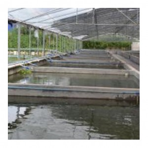 China Wholesale Mariguana-Growing Greenhouse Manufacturers - SolarGreenhouse ltrgws06 – Lantian