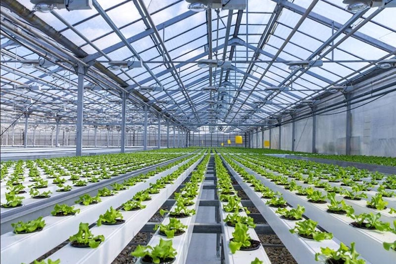 Uzbekistan: around 400 modern greenhouses were built in 2021
