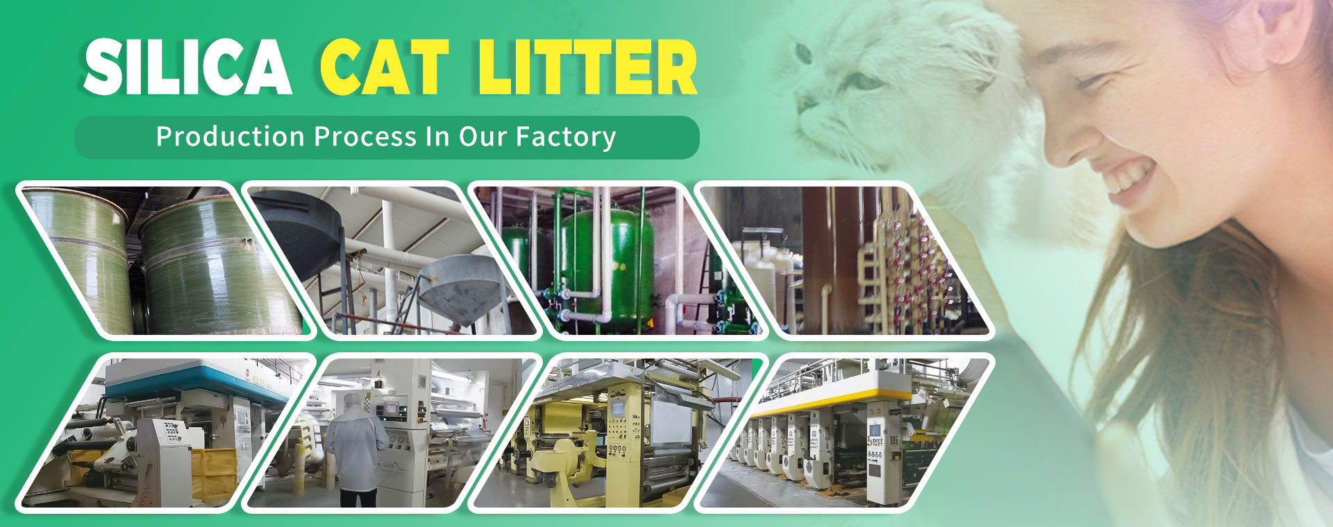 6 Silica cat litter factory