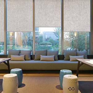 Best-Selling China Fashion Roller Blind Fabric (HX SERIES)