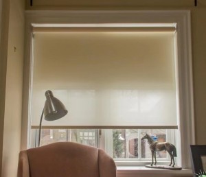 PVC Modern Black Full Blackout Light Blocking In Window Roller Shades Blinds For Window