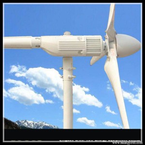 20KW off/on-grid working system wind turbine