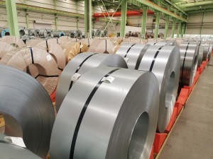 Chinese Steel Market Overview of February 2024