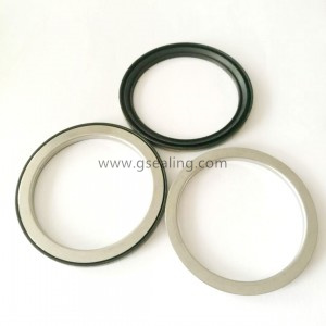 Abs bearing magnetic seal sets