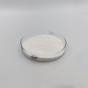 CAS 23828-92-4—Ambroxol HCl