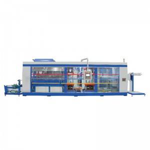 Automatic Plastic High Pressure Food Box Thermoforming Line Machine 4 station