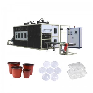 Discountable price China High-Performance Fully Automatic Disposable Three-Station Plastic Cups Tray Thermoforming Making Machine