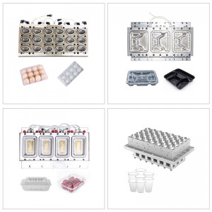 Blister Mould Plastic Mould Manufacturing Factory