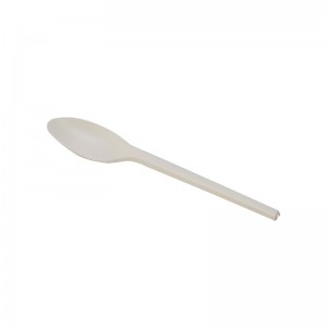 Taas nga Kalidad para sa Compostable pla Ice Cream Spoon 100% Biodegradable Disposable Soup Spoon