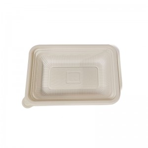 PLA Biodegradable Plastic Disposable Takeaway Square Lunch Pusa