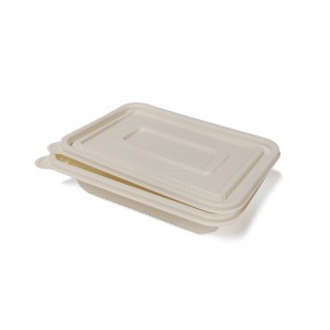 Quadratische Einweg-Lunchbox aus biologisch abbaubarem PLA-Kunststoff zum Mitnehmen