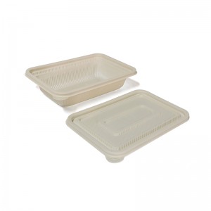 PLA Biodegradable Plastic Disposable Takeaway Square Lunch Box