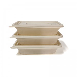 PLA Biodegradable Plastic Disposable Takeaway Square Lunch Box