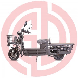 ODM Factory China Electric Cargo Bike/Three Wheel Bicycle for Adults/Adult Tricycle/Trike/3 Wheel Electric