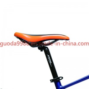 GD-EMB-003：  Electric mountain bike, powerful motor, 48v, 27.5 inch, lithium battery