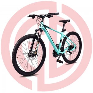 GD-EMB-004：Mountain bike, 17 inches frame, 9 Speed, aluminium, KMC, Prowheel