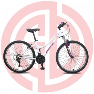 Cheap price Motorized Bicycle - GD-MTB-002 – GUODA