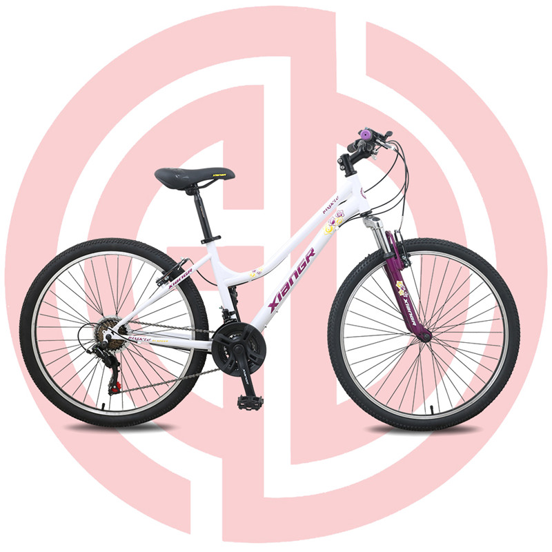Good quality Cruiser Bicycle - GD-MTB-002 – GUODA