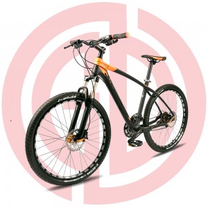 2019 wholesale price China 2021 Fantrider 250W 36V MID Motor Electric Power Mountain Bike/Ebike/Electric Bike/Bike