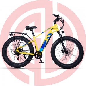 GD-EMB036: 26″ Electric Snow Bike with 48V750W