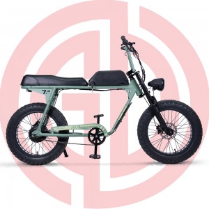 GD-EMB035:26″ Electric Mountain Bicycle with 48V500W