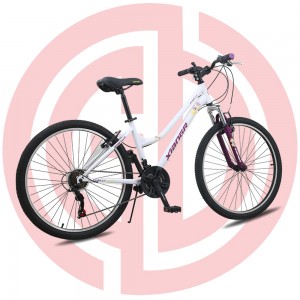 Leading Manufacturer for China Street Bike Mountain Bicycle 026