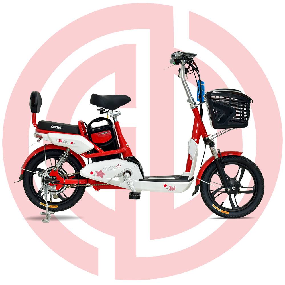 China Cheap price bike with LCD meter - GD-EMB-025: – GUODA