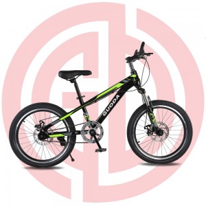 OEM/ODM Factory Baby Walker Wholesaler - GD-KB-002： 20 inch children bike with disc brake single speed, green bike,boys bike,Contracted design – GUODA