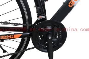 Cheapest Price China 700c Leisure Road Bike/Disc Brake Bicycle/Aluminium Alloy Fork Bike