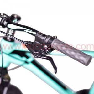 2019 China New Design China 500W/750W/1000W 26 Inch 100 Nm Shimano 7-Speed MTB Fat Tire Electric Mountain Bike Snow Cruiser E Bike