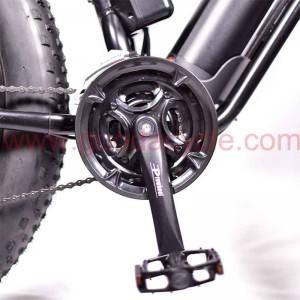 Renewable Design for China 26inch 750W Brushless Motor Ebike Cruiser with CE Approved