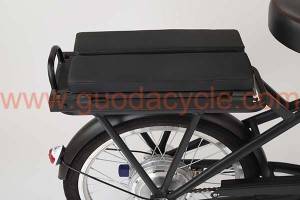 Manufacturer for China 26 Inch Low Noise Middle Driven Motor City E-Bike